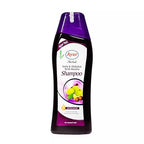 AYUR SHAMPOO AMLA WITH REETHA