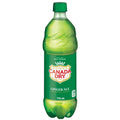 CANADA DRY GINGER
